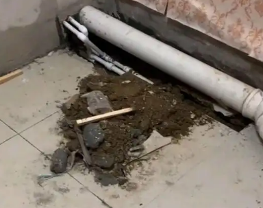 繁昌卫生间漏水检测哪家好